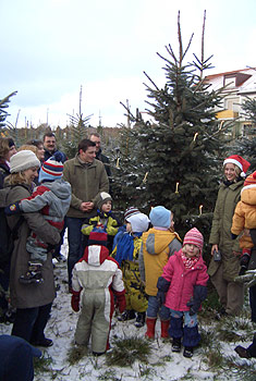 »Christbaumsingen im Christbaumwald«