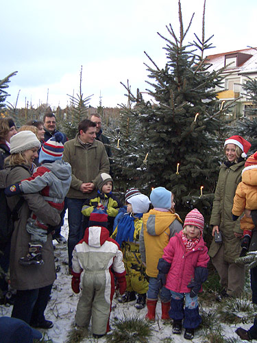 »Christbaumsingen im Christbaumwald«