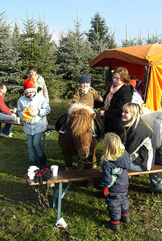 »Pony-Reitaktion im Christbaumwald«