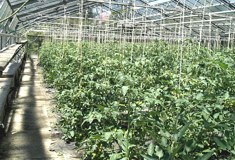 &raquo;Erfahrung wächst nach oben&laquo;