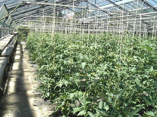 &raquo;Erfahrung wächst nach oben&laquo;