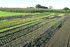 &raquo;Feldarbeit für Körper, Geist und Seele&laquo;