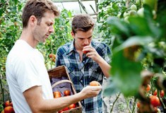 &raquo;Gourmet Koch bei der Biogemüsesichtung mit Herrn Seiler&laquo;