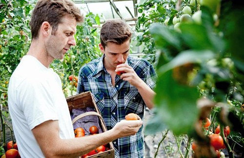&raquo;Gourmet Koch bei der Biogemüsesichtung mit Herrn Seiler&laquo;