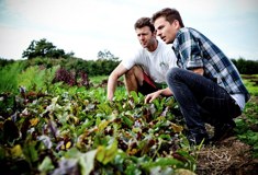 &raquo;Gourmet Koch bei der Biogemüsesichtung mit Herrn Seiler&laquo;
