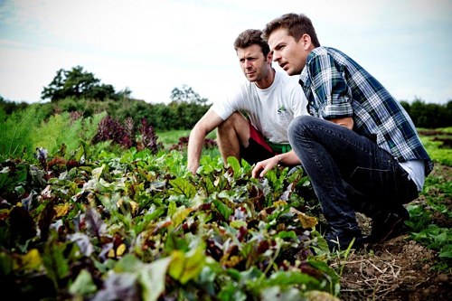 &raquo;Gourmet Koch bei der Biogemüsesichtung mit Herrn Seiler&laquo;