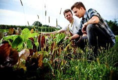 &raquo;Gourmet Koch bei der Biogemüsesichtung mit Herrn Seiler&laquo;