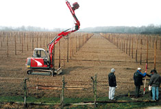 »In Reih und Glied gemessen«