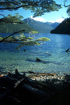 »Blick auf einen See«