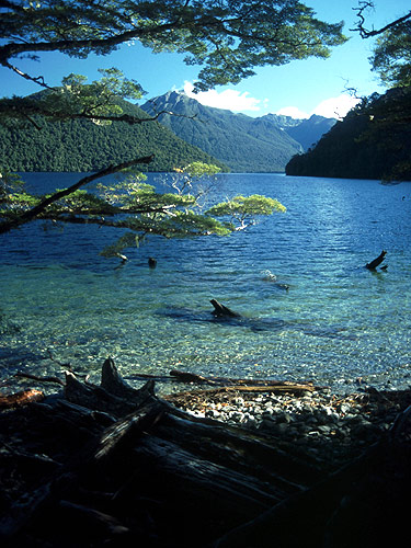 »Blick auf einen See«