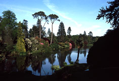 »Englischer Landschaftspark«