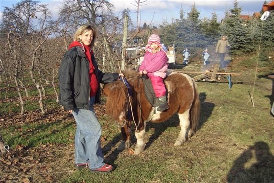 »Ponyreiten im Christbaumwald«