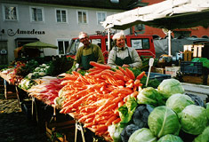 »Traditionell - damals wie heute in Lindau auf dem Wochenmarkt«