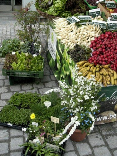 »Unser Kräuterzauber zu Ostern«