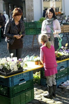 »Der Markt lebt - persönliches Verkaufsgespräch«