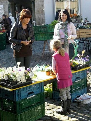 »Der Markt lebt - persönliches Verkaufsgespräch«