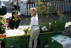 »Markt – einfach nett«