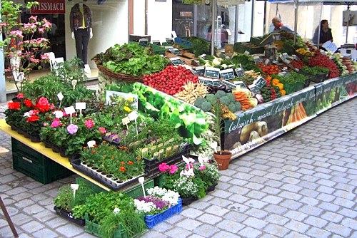 »Riesen Auswahl an Gemüse und Blumen an unserem Stand in Wangen«