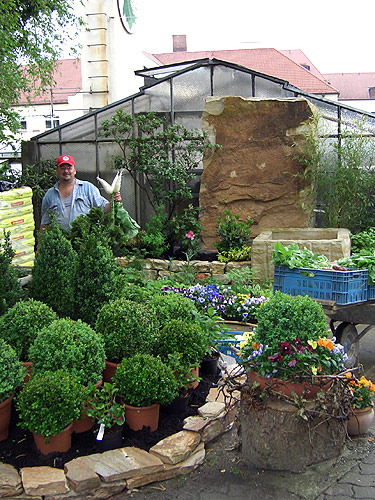 »Gemüse frisch gereicht«